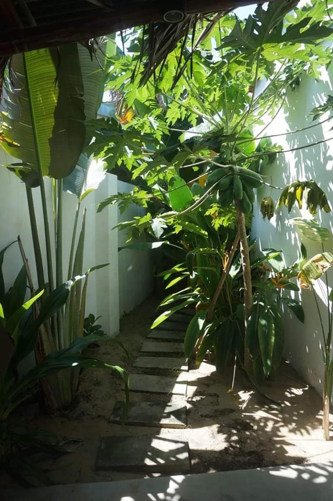Be'S Beach House An Bang Hội An Chambre photo